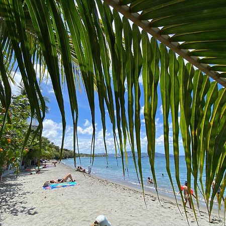 Bungalow Palbea Superieur Avec Spa Et Vue Mer ショルシェール エクステリア 写真