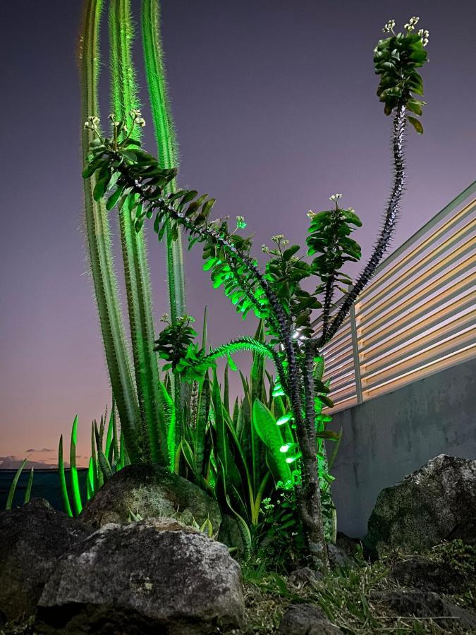 Bungalow Palbea Superieur Avec Spa Et Vue Mer ショルシェール エクステリア 写真